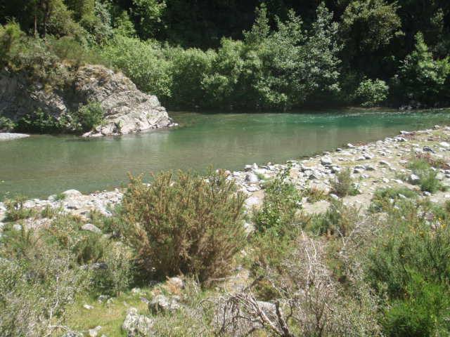 Orari River Gorge