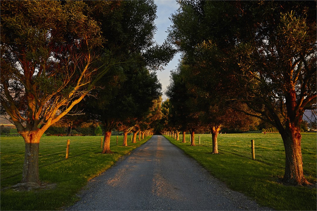 Our Driveway entrance