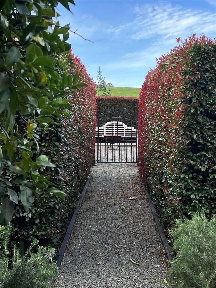 Private guest garden.