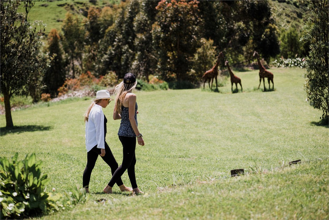 Wander freely on our extensive lawns