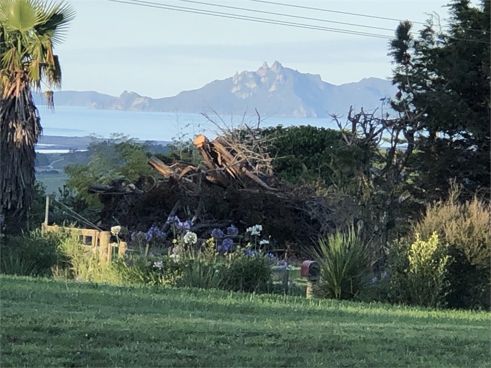 View to Hen & Chicken Islands