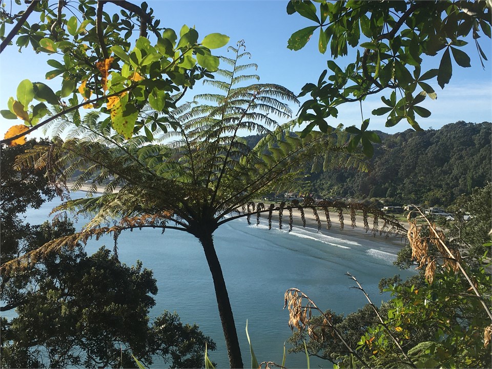 Ohope beach from Otarawairere walkway