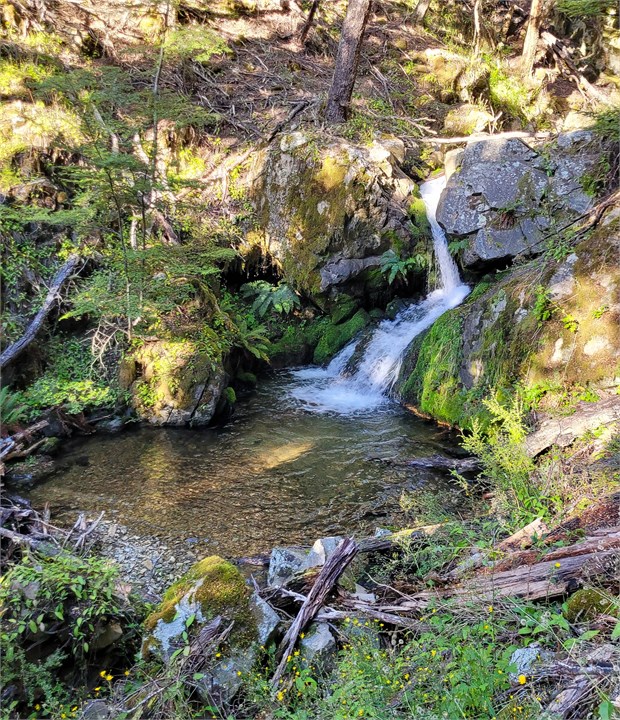 Quailburn Track 5 minute drive from Quarters