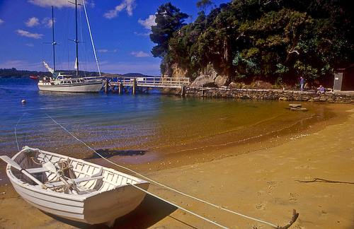 "Sails" Guided Ulva Island discovery package
