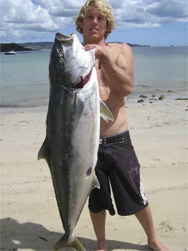 Free diving on the coast