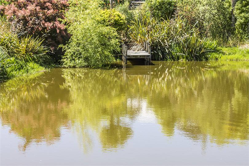 It's quiet & peaceful sitting on the jetty.