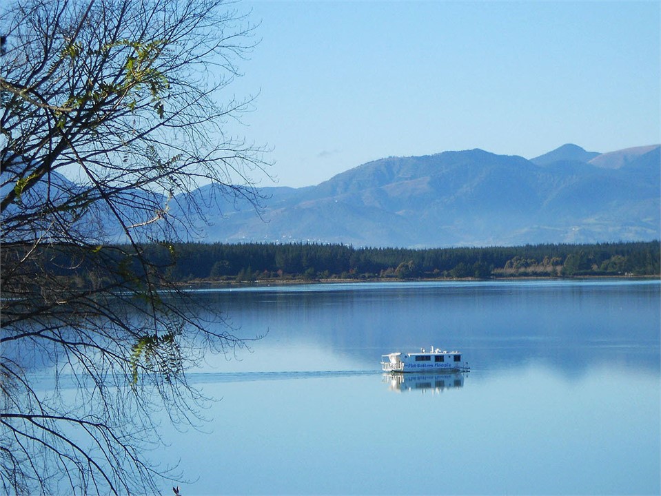 Estuary view from the cottage