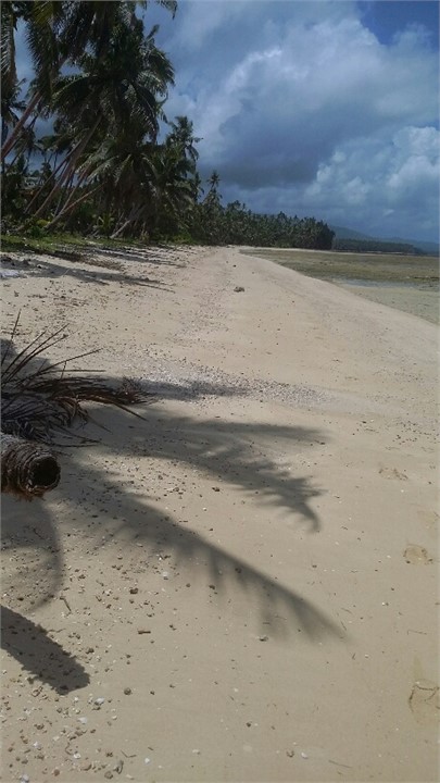 yep and again.. isn't it lovely with its white san