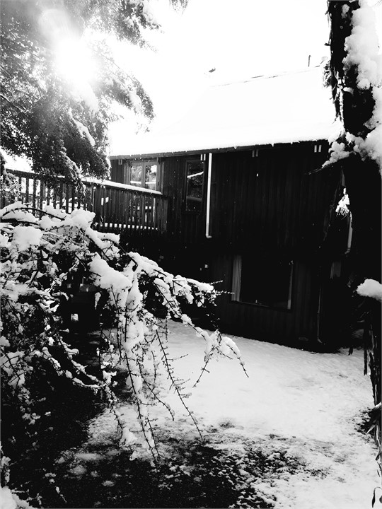 Winter at Street's Retreat