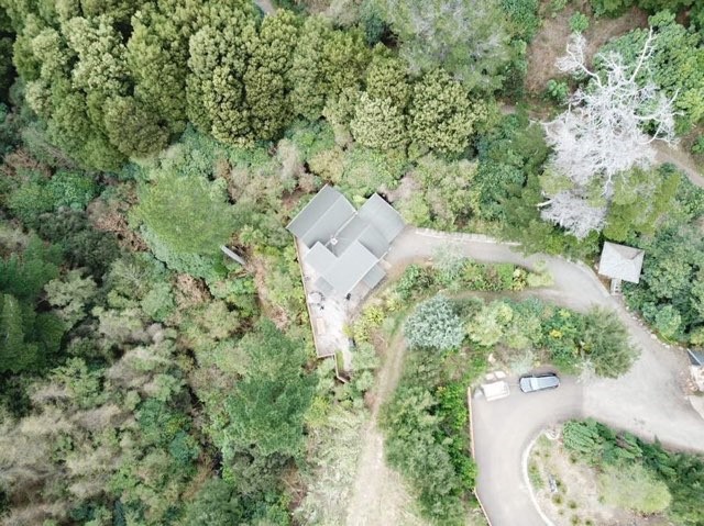 Birdsong Lodge - surrounded by forest