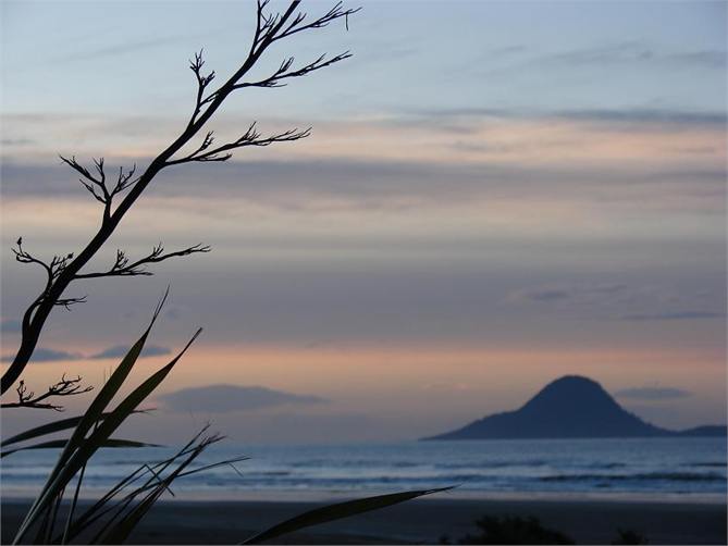 Stunning view of Whale Island