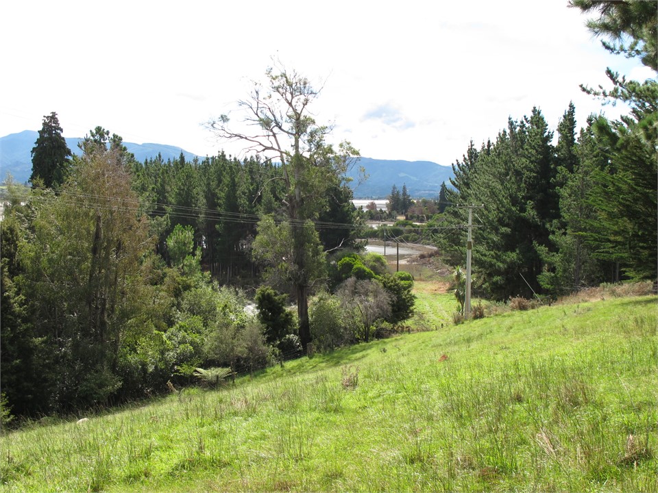 View from the sheep paddock