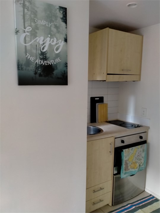 Simple, functional (easy to keep clean) kitchen