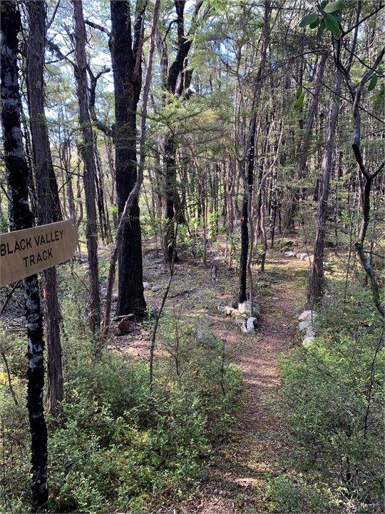 Bush walk on the property