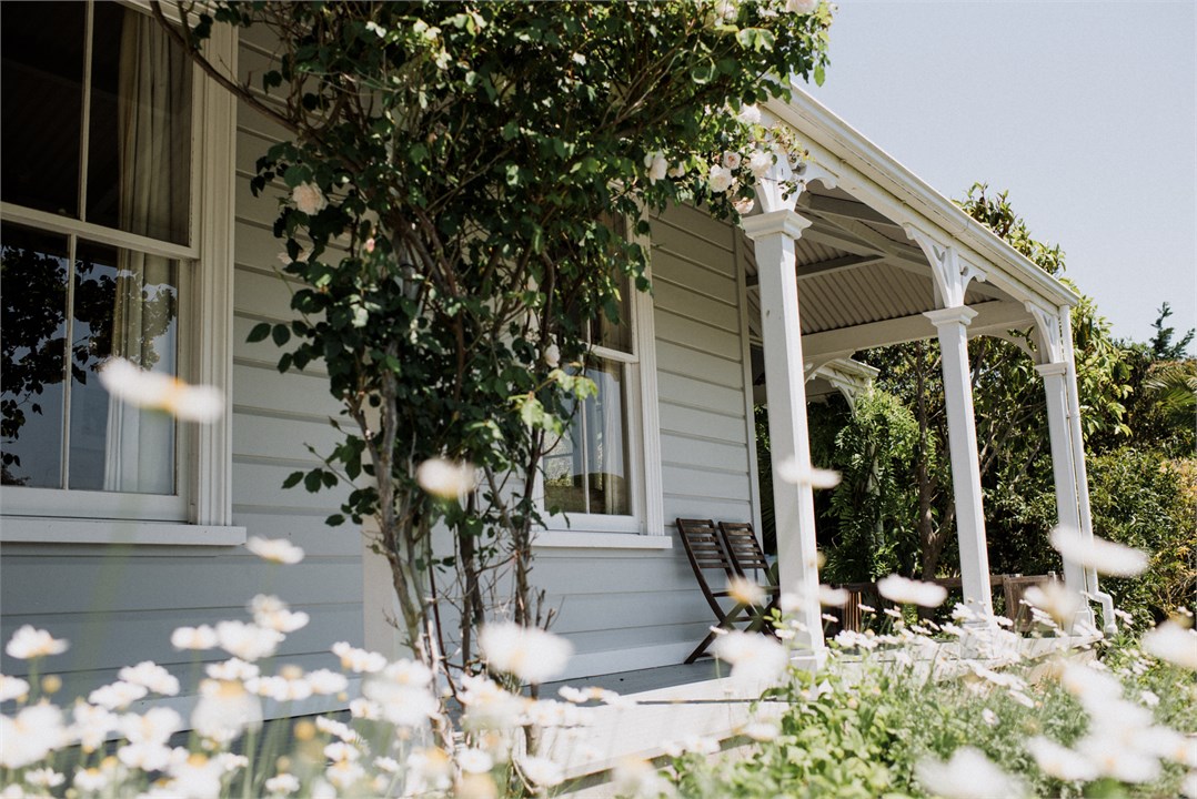 Roses bloom all summer beside our cottage
