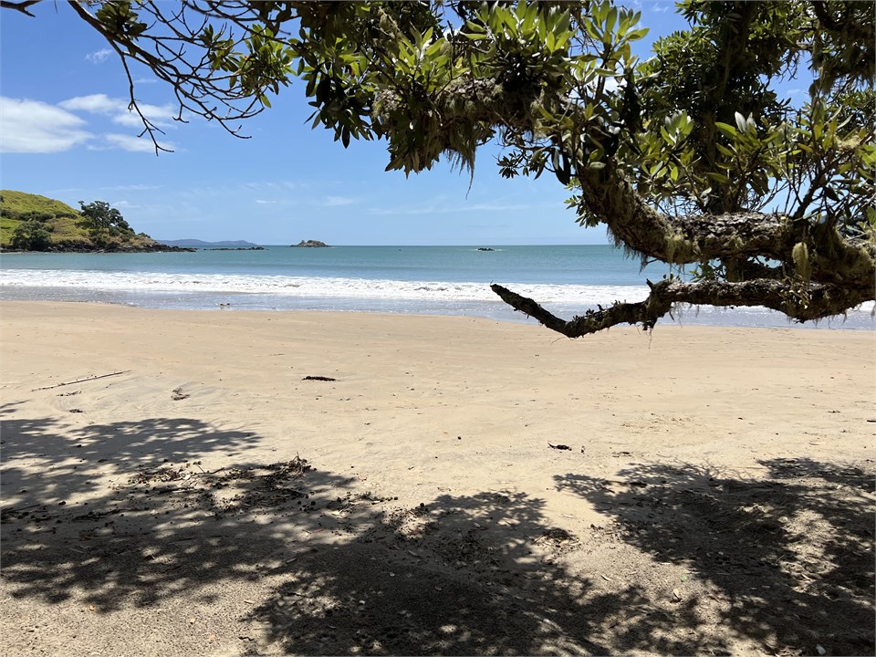 Coopers Beach, Far North, NZ only 8 minutes walk f