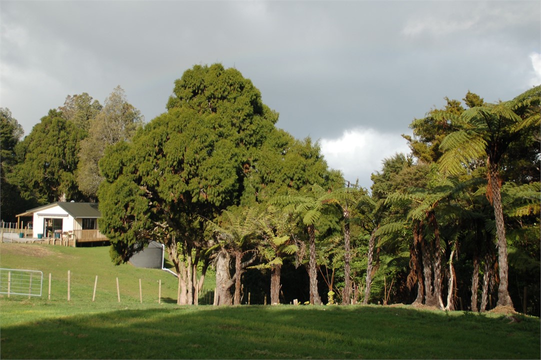 The Cottage in its rural setting with native trees