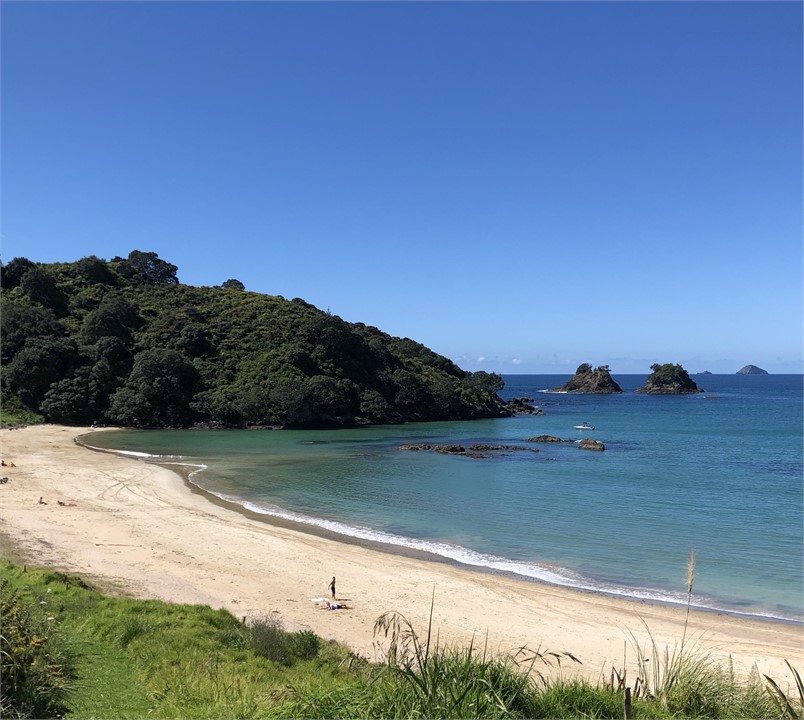 A few steps to safe swimming