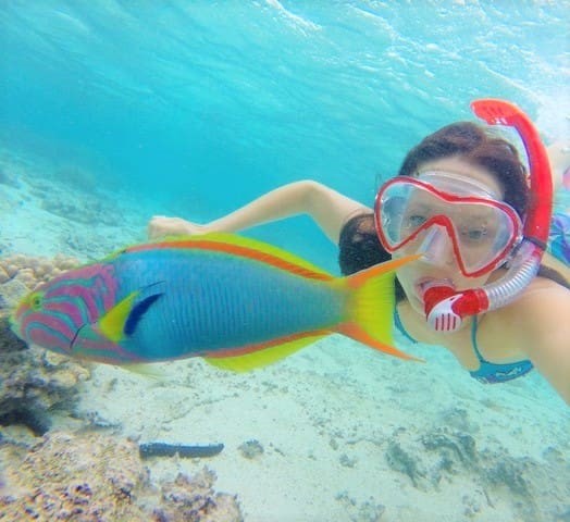 the lagoon is full of marine life