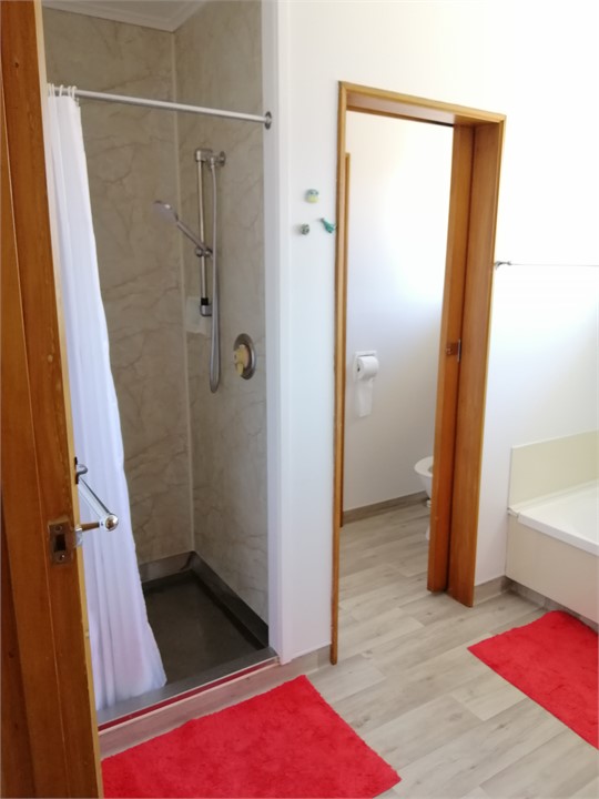 Bathroom with shower and bath; separate toilet