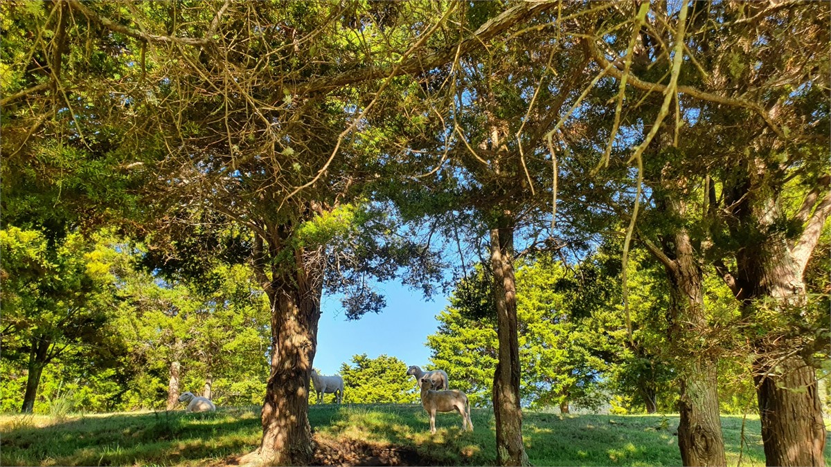 150 acres of private farm to explore