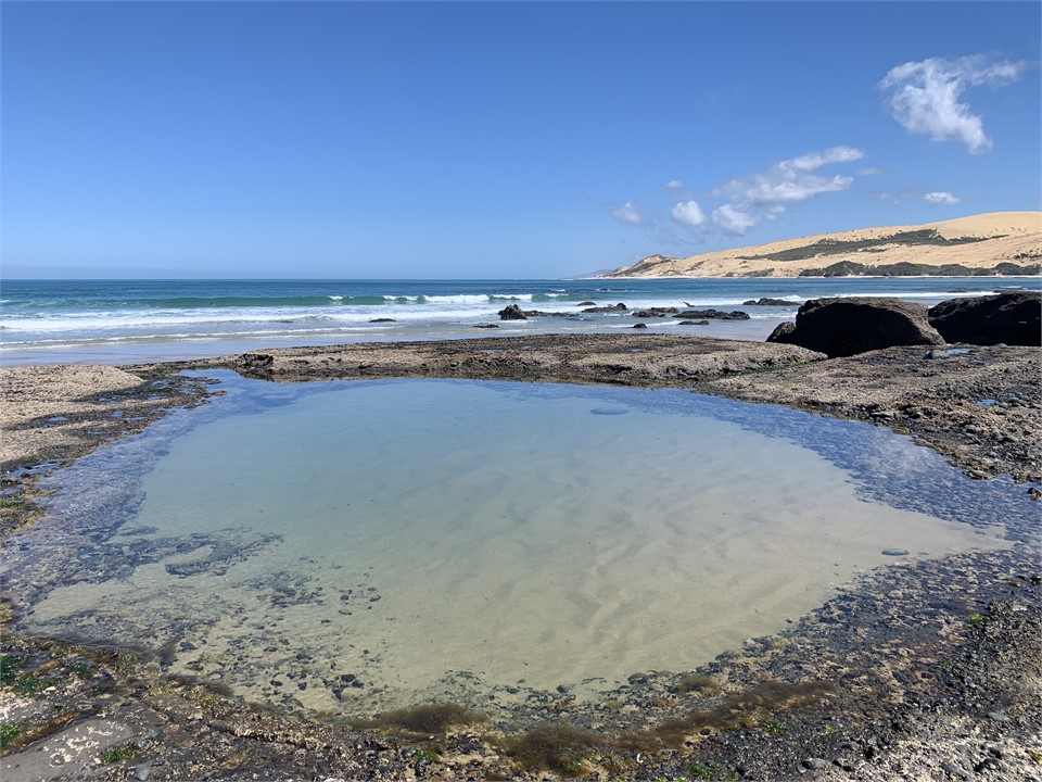 Arai-Te-Uru over the hill has stunning rock pools 
