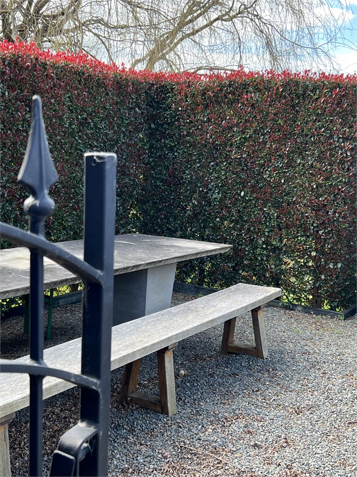 10 seater table in private garden with BBQ