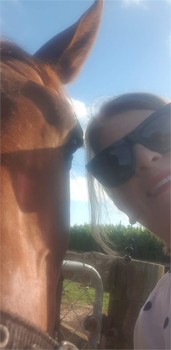 It's a horse of course