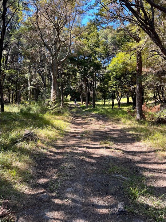 Track leading down to bay
