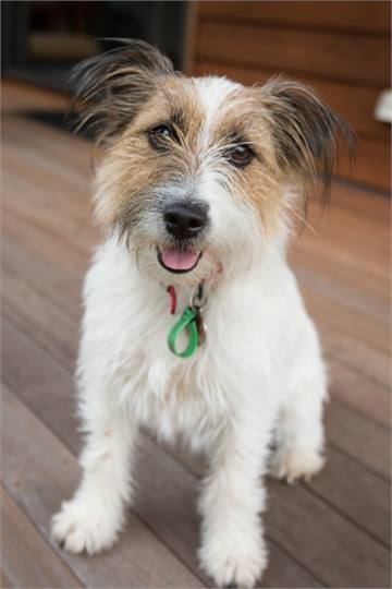 "Lettie" permanant resident at The Cottages