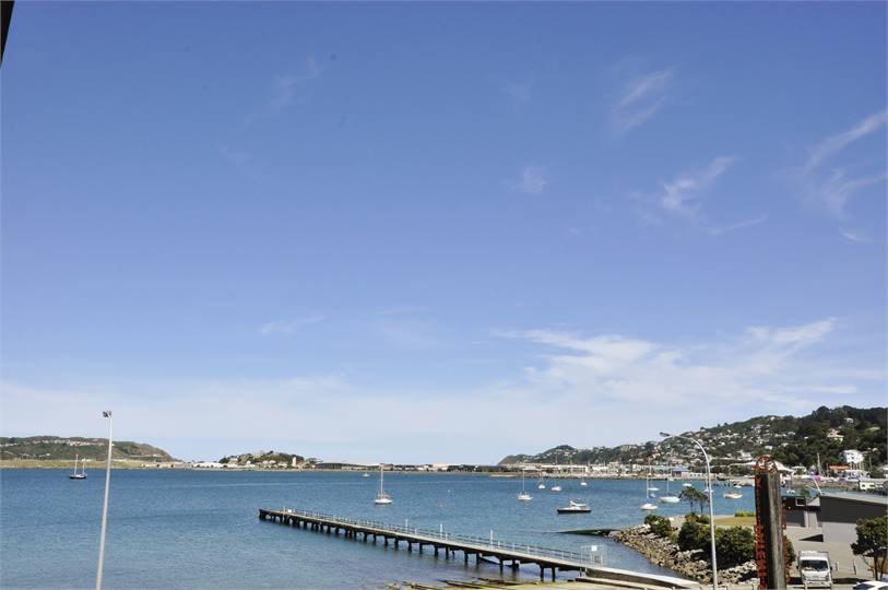View from deck towards Evans Bay