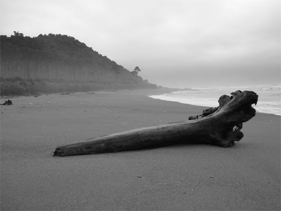 Escape to lonely beaches