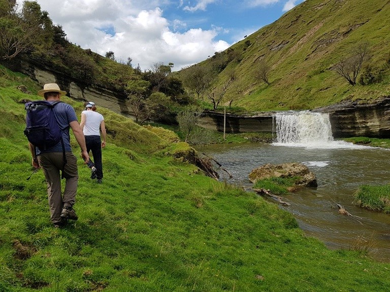 Green Walk / Waterfall 1
