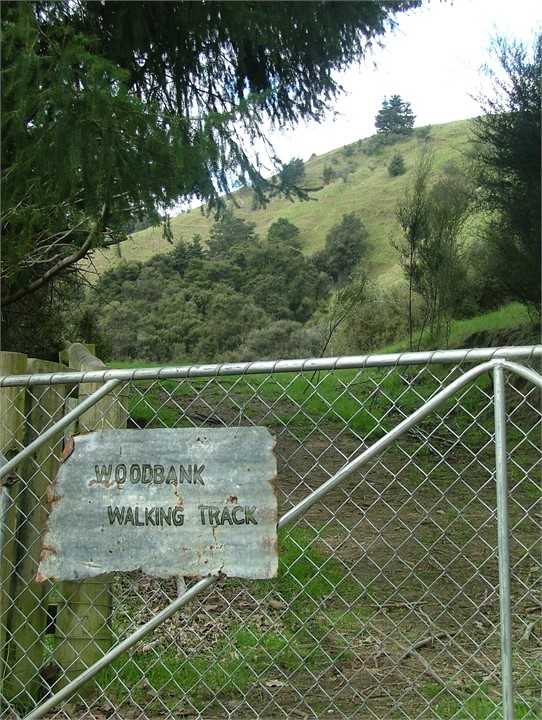Walking Track