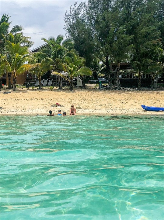 Snapshot from the water looking in