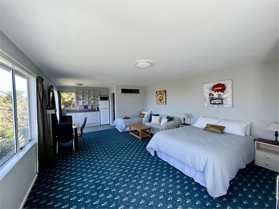 Clean, tidy spacious studio apartment