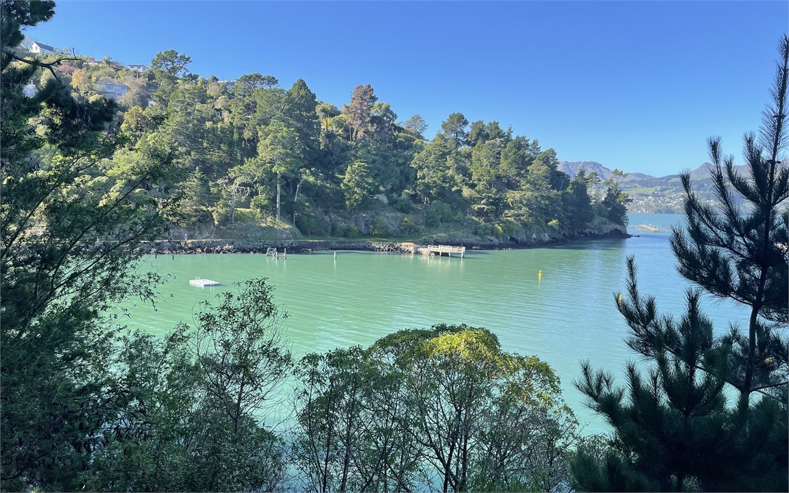 Corsair Bay, Favourite Coastal walk, Lyttelton