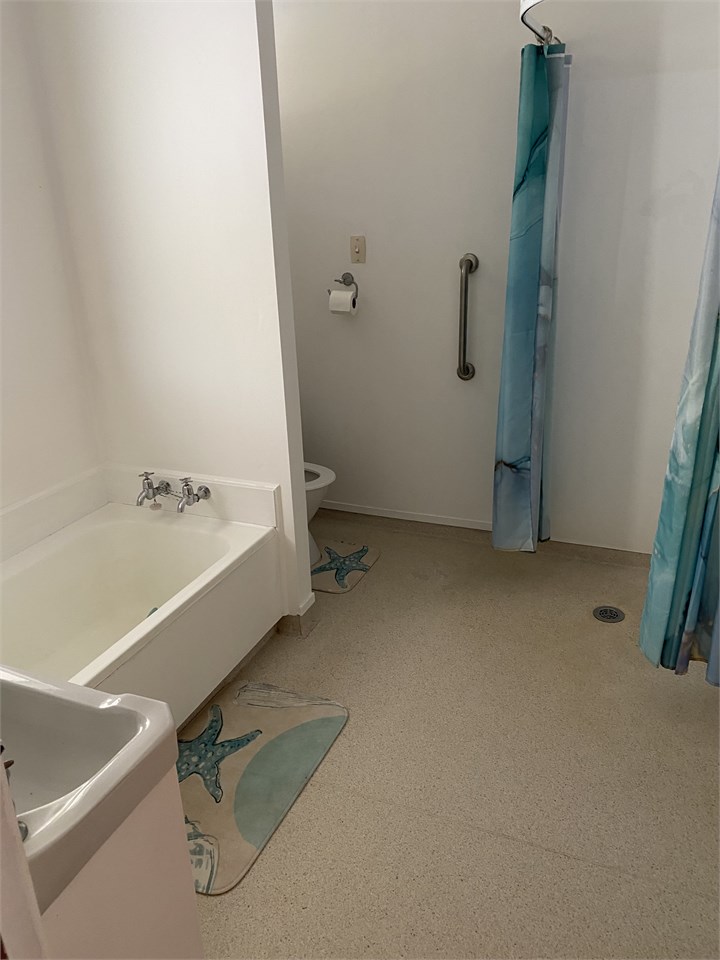 Large bathroom with bath, shower and toilet