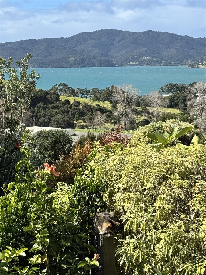 Views from Casa Playa de los osos