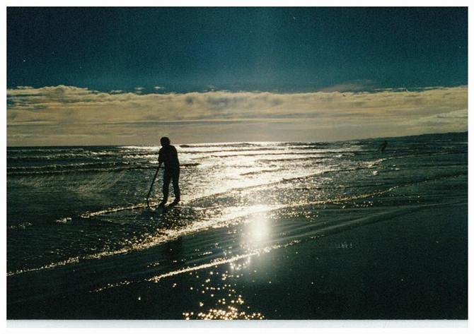 or netting for mullet