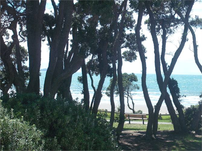 view from deck without zoom