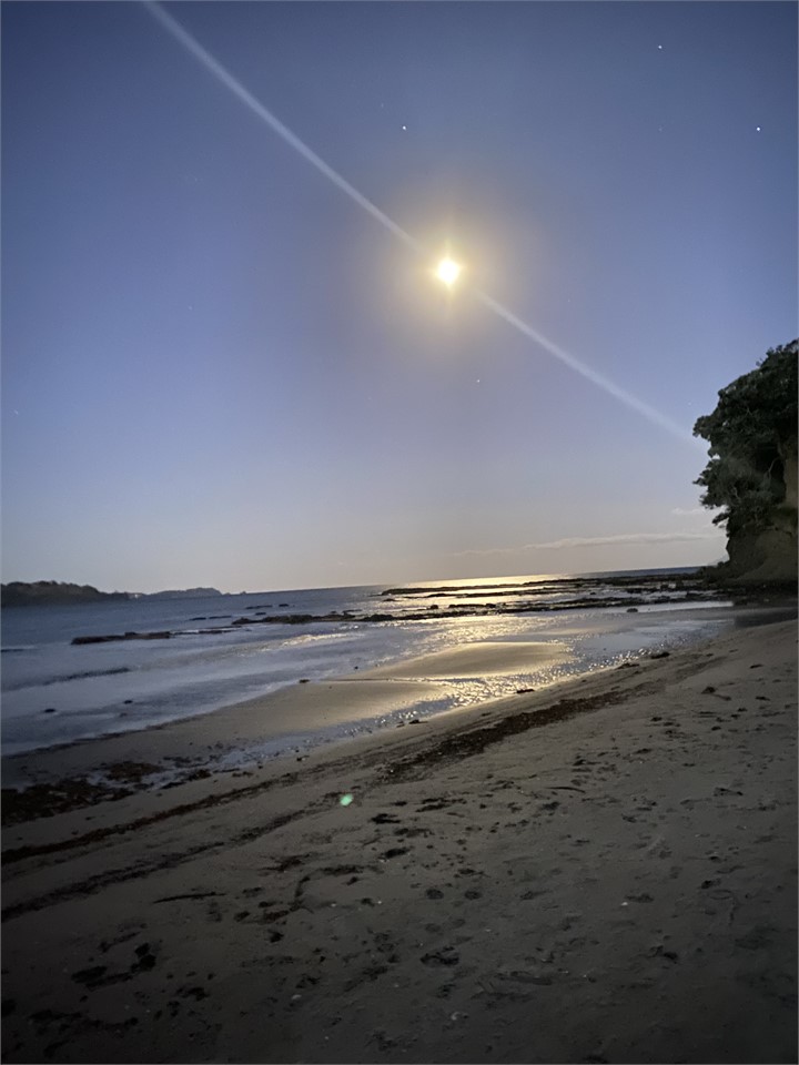 Moonshine on the beach