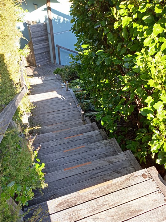 17 steps down to Treehouse