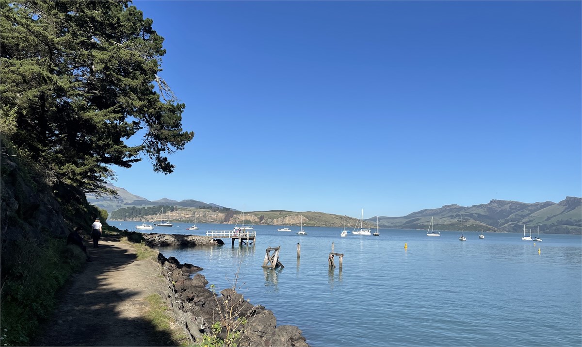 Corsair Bay, Favourite Coastal walk, Lyttelton