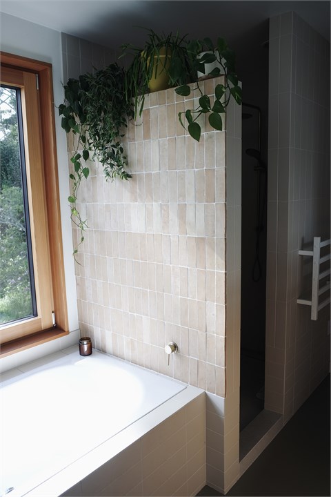 Master bathroom bath and shower