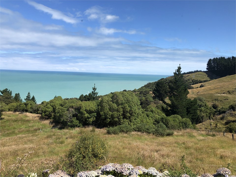 View from the Cottage