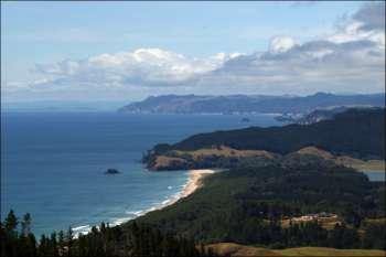 Opoutere 6 Kilometre Beach All Forest and Beach