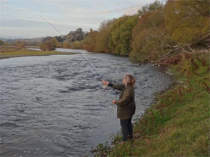 year-round trout fishing