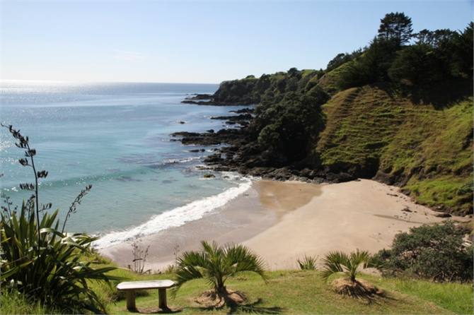 sandy beach  mahinepua