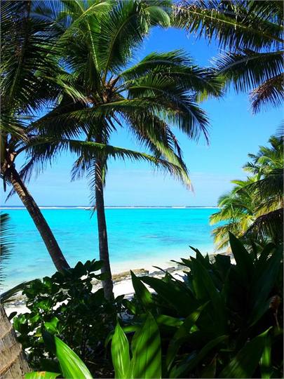 The view from the deck